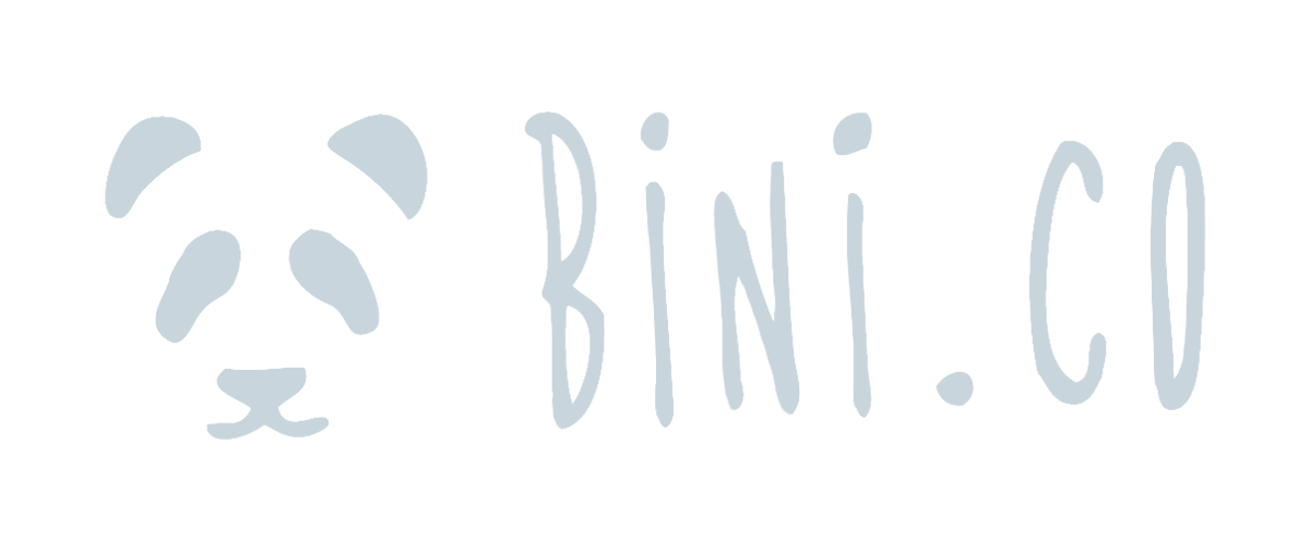 bini_logo
